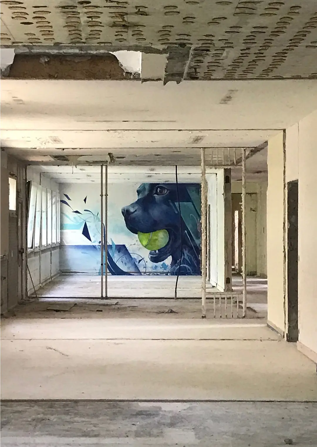 009-425